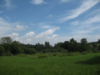 Vidnava, přírodní rezervace Vidnavské mokřiny