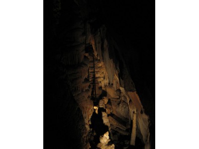 Špraněk, podstatná část Javořičských jeskyní byla objevena již v roce 1938